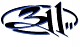 311logo.jpg
