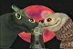 conv_vacpics.jpg